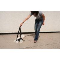 Gehäkelte Hunde Tragetasche Handgefertigte Haustier Tragetasche, Bubadog Design von BubaDog