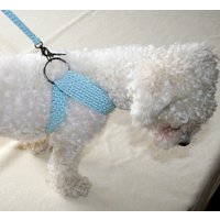 Hundegeschirr, Passende Leine, Hundegeschirr - Kleines Hundegeschirr, Passende Leine, Hundegeschirr - Kleines von BubaDog