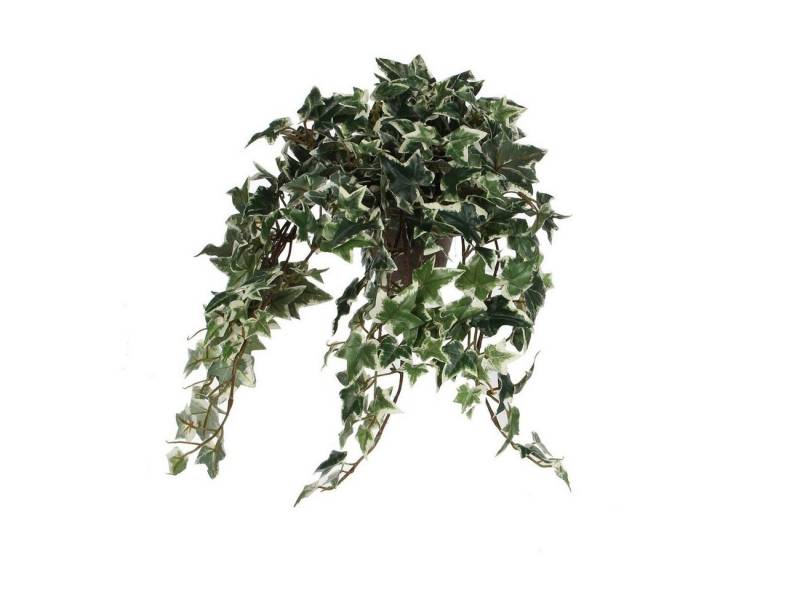 Kunstpflanze Efeu Efeu, Bubble-Store, kletterpflanze von Bubble-Store