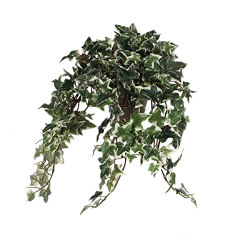 Kunstpflanze, Efeu Zimmerpflanze, Kunstefeu mit Langen, hängenden Ästen und sternförmigen Blättern, Hedera Kunstpflanze im Ton Blumentopf Kunstpflanze, Efeu Zimmerpflanze, Kunstefeu mit Langen, hängenden Ästen und sternförmigen Blättern, Hedera Kunstpflanze im Ton Blumentopf von Bubble Store