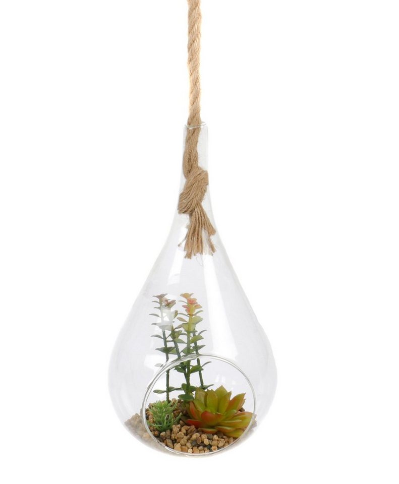 Kunstpflanze Sukkulente Sukkulente, Bubble-Store, Kunstpflanze im Glas von Bubble-Store