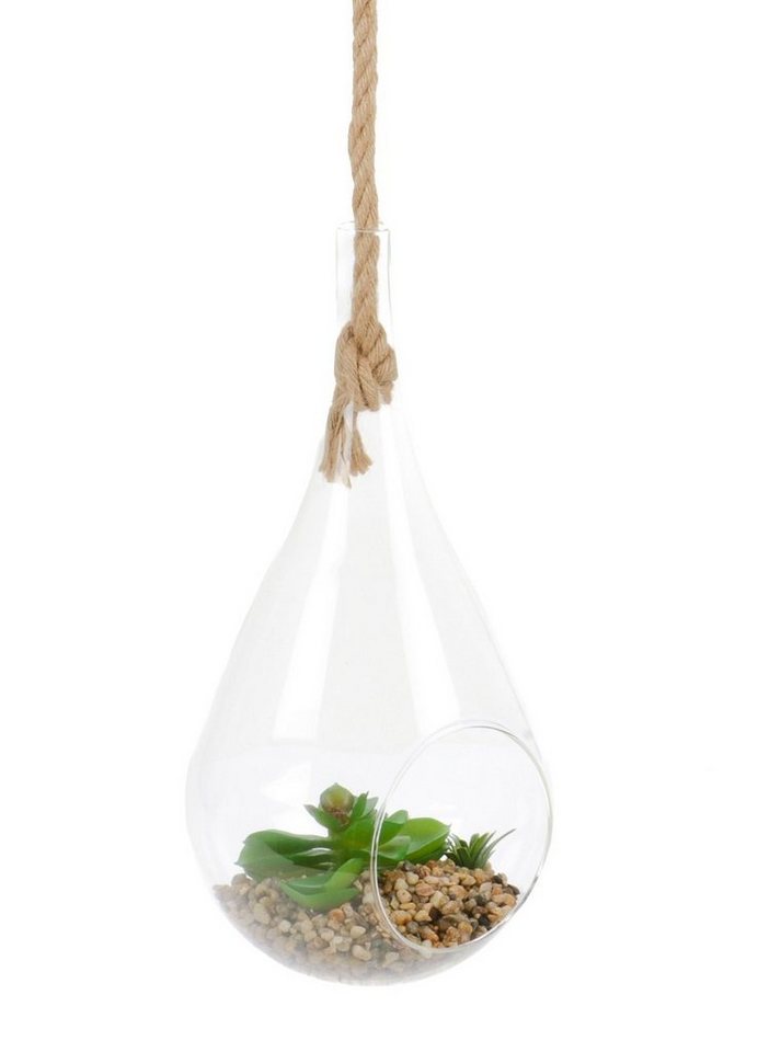 Kunstpflanze Sukkulente Sukkulente, Bubble-Store, Kunstpflanze im Glas von Bubble-Store