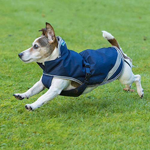 Bucas Freedom Hundedecke 35, navy von Bucas