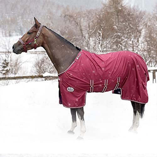 Bucas Jubilee X-Range Turnout Light 100g - Ruby von Bucas
