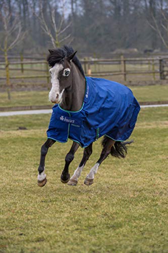 Bucas Pony Smartex Rain 100 Blue von Bucas