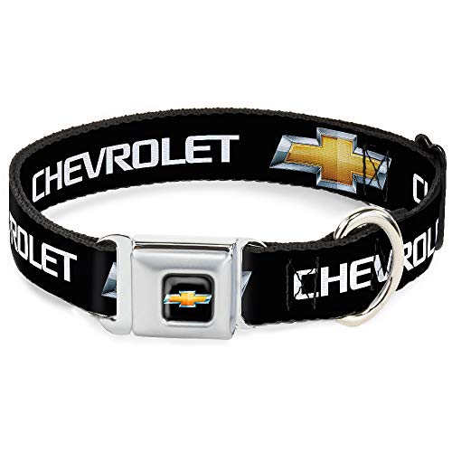 Buckle-Down 22,9–38,1 cm chb-Chevy Schleife Full Color Schwarz/Gold Hund Halsband von Buckle-Down
