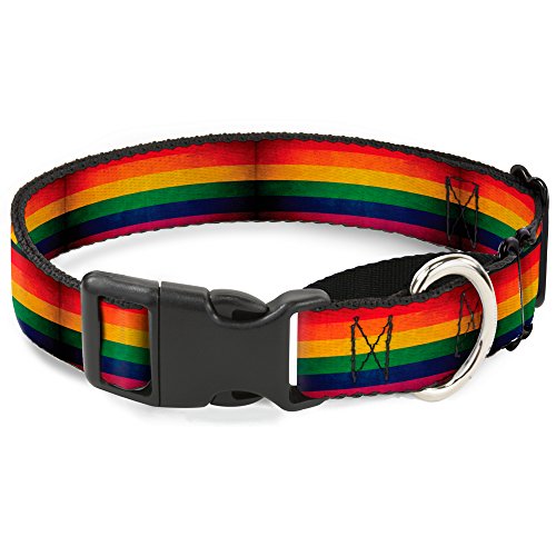 Buckle-Down Flagge Pride Distressed Rainbow Martingale Hundehalsband, 2,5 cm Wide-fits 27,9–43,2 cm Neck-medium von Buckle-Down