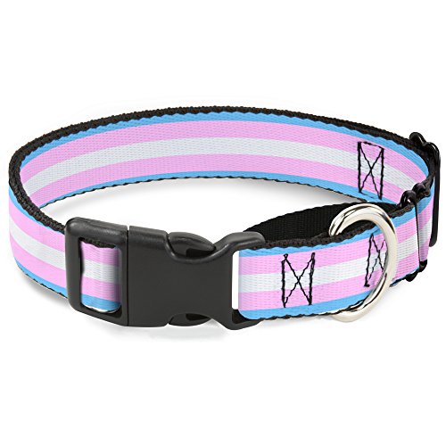 Buckle-Down Hundehalsband, Martingal-Flagge, 2,5 cm breit, 38,1-66 cm Halsumfang, Blau/Rosa/Weiß von Buckle-Down