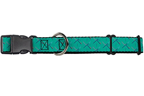Buckle Down "PDX Flughafen Teppich Old Martingale Hundehalsband, 3,8 cm Wide-fits 33–45,7 cm Neck-small von Buckle-Down
