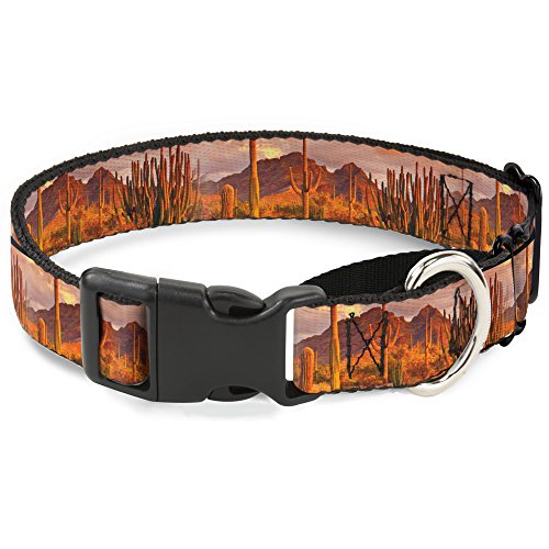Buckle-Down mgc-w31281-ws Landschaft Wüste Kakteen Martingale Hundehalsband, klein Buckle-Down mgc-w31281-ws Landschaft Wüste Kakteen Martingale Hundehalsband, klein von Buckle-Down