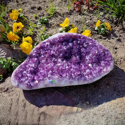 Budawi® Amethyst Druse Drusenstück XXL Amethystdruse - Einzelstück von Budawi
