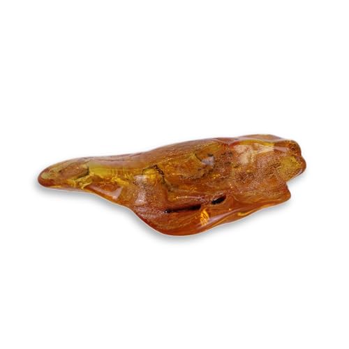 Budawi® Echter Bernstein Trommelstein Einzelstück mit Echtheitszertifikat und Organzasäckchen fossiles Harz als Handschmeichler oder Sammlerstein von Budawi