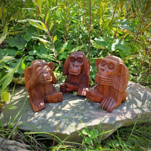 Budawi® Handgeschnitztes 3er Affen-Set aus Suarholz – „Die DREI weisen Affen“ – Symbol für Weisheit und Achtsamkeit – Höhe ca. 15 cm von Budawi