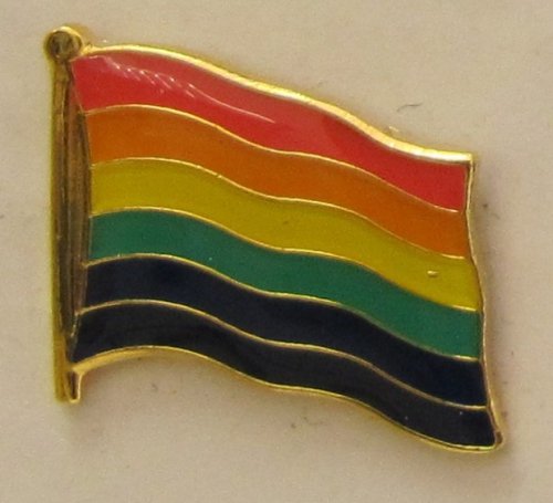 Buddel-Bini Versand Pin Anstecker Flagge Fahne Regenbogen Flaggenpin Badge Button Flaggen Clip Anstecknadel Regenbogenflagge von Buddel-Bini Versand