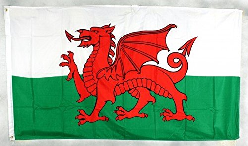 Flagge Fahne Wales 90x60 cm wetterfest und lichtecht für innen und aussen von Buddel-Bini Versand