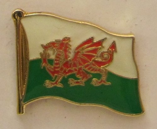 Pin Anstecker Flagge Fahne Wales Flaggenpin Badge Button Flaggen Clip Anstecknadel von Buddel-Bini Versand