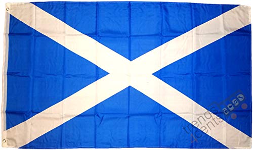 Schottland Flagge Großformat 250 x 150 cm wetterfest Fahne von Buddel-Bini Versand