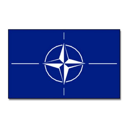 Buddel-Bini NATO Flagge Fahne ca. 90x150 cm wetterfeste Hißflagge mit Besatzband und Metallösen Buddel-Bini NATO Flagge Fahne ca. 90x150 cm wetterfeste Hißflagge mit Besatzband und Metallösen von Buddel-Bini