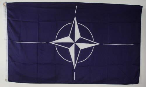 Buddel-Bini NATO Flagge Fahne ca. 90x150 cm wetterfeste Hißflagge mit Besatzband und Metallösen Buddel-Bini NATO Flagge Fahne ca. 90x150 cm wetterfeste Hißflagge mit Besatzband und Metallösen von Buddel-Bini