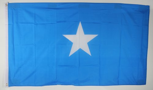 Buddel-Bini Flagge Fahne ca. 90x150 cm : Somalia Somaliaflagge Nationalflagge Nationalfahne von Buddel-Bini