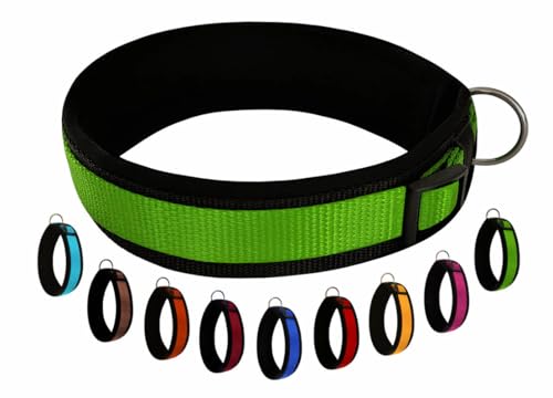 BUDDYPACK | Bequemes Hundehalsband | Extra-Breit mit Neopren-Polster | Für Kleine, Mittlere und Große Hunde (XS/S (35-40 cm), Grün auf Schwarz) von Buddypack