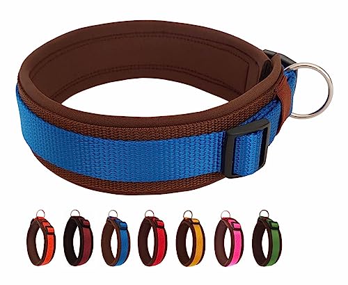 BUDDYPACK | Bequemes Hundehalsband | Extra-Breit mit Neopren-Polster | Für Kleine, Mittlere und Große Hunde | Größe XXS-3XL (L/XL (53-58 cm), Blau auf Braun) von Buddypack