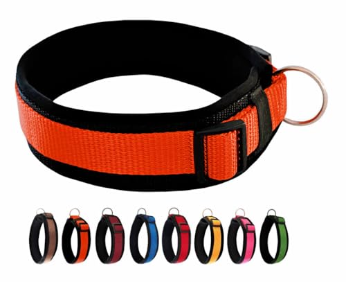 BUDDYPACK | Bequemes Hundehalsband | Extra-Breit mit Neopren-Polster | Für Kleine, Mittlere und Große Hunde | Größe XXS-3XL (L/XL (53-58 cm), Rostorange auf Schwarz) von Buddypack