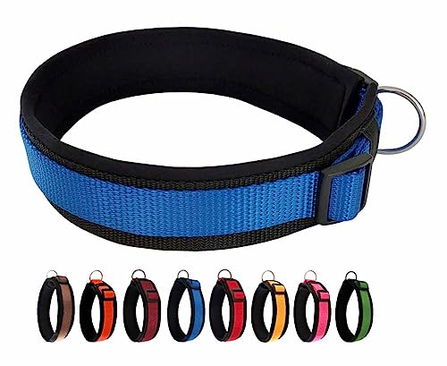 BUDDYPACK | Bequemes Hundehalsband | Extra-Breit mit Neopren-Polster | Für Kleine, Mittlere und Große Hunde | Größe XXS-3XL (L (50-55 cm), Blau auf Schwarz) von Buddypack