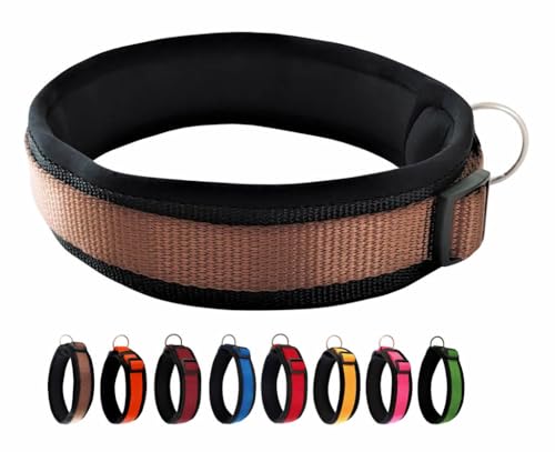 BUDDYPACK | Bequemes Hundehalsband | Extra-Breit mit Neopren-Polster | Für Kleine, Mittlere und Große Hunde | Größe XXS-3XL (L (50-55 cm), Braun auf Schwarz) von Buddypack