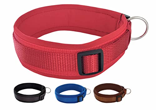 BUDDYPACK | Bequemes Hundehalsband | Extra-Breit mit Neopren-Polster | Für Kleine, Mittlere und Große Hunde | Größe XXS-3XL (L (50-55 cm), Rot) von Buddypack