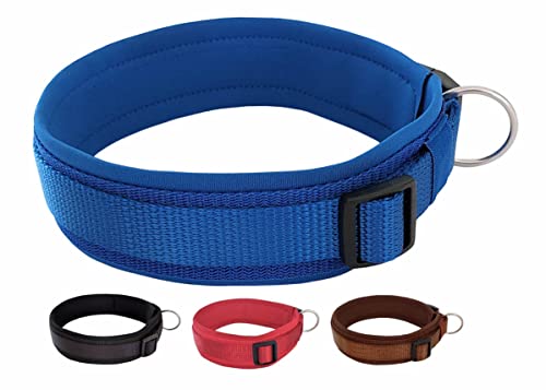 BUDDYPACK | Bequemes Hundehalsband | Extra-Breit mit Neopren-Polster | Für Kleine, Mittlere und Große Hunde | Größe XXS-3XL (M (44-49 cm), Blau) von Buddypack