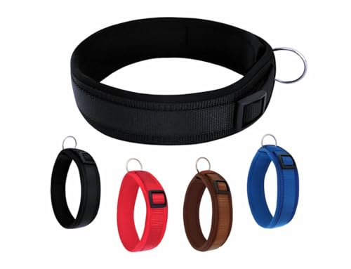 BUDDYPACK | Bequemes Hundehalsband | Extra-Breit mit Neopren-Polster | Für Kleine, Mittlere und Große Hunde | (M (44-49 cm), Schwarz) von Buddypack