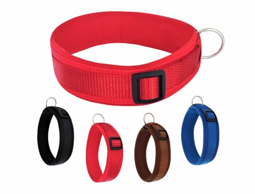 BUDDYPACK | Bequemes Hundehalsband | Extra-Breit mit Neopren-Polster | Für Kleine, Mittlere und Große Hunde | Größe XXS-3XL (S/M (41-46 cm), Rot) von Buddypack