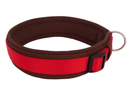 BUDDYPACK | Bequemes Hundehalsband | Extra-Breit mit Neopren-Polster | Für Kleine, Mittlere und Große Hunde | Größe XXS-3XL (S (38-43 cm), Rot auf Braun) von Buddypack