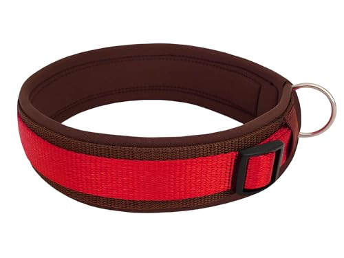 BUDDYPACK | Bequemes Hundehalsband | Extra-Breit mit Neopren-Polster | Für Kleine, Mittlere und Große Hunde (S (38-43 cm), Rot auf Braun) von Buddypack