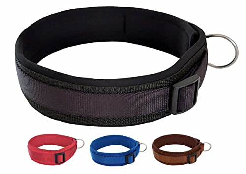 BUDDYPACK | Bequemes Hundehalsband | Extra-Breit mit Neopren-Polster | Für Kleine, Mittlere und Große Hunde | Größe XXS-3XL (XS/S (35-40 cm), Schwarz) von Buddypack