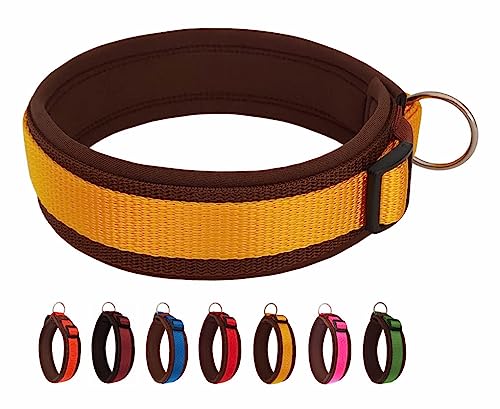 BUDDYPACK | Bequemes Hundehalsband | Extra-Breit mit Neopren-Polster | Für Kleine, Mittlere und Große Hunde | Größe XXS-3XL (XS (32-37 cm), Gelb auf Braun) von Buddypack