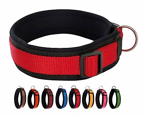 BUDDYPACK | Bequemes Hundehalsband | Extra-Breit mit Neopren-Polster | Für Kleine, Mittlere und Große Hunde | Größe XXS-3XL (XS (32-37 cm), Rot auf Schwarz) von Buddypack