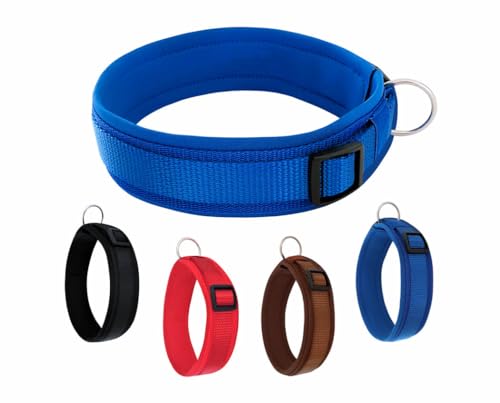 BUDDYPACK | Bequemes Hundehalsband | Extra-Breit mit Neopren-Polster | Für Kleine, Mittlere und Große Hunde | Größe XXS-3XL (XXS (29-34 cm), Blau) von Buddypack