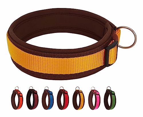 BUDDYPACK | Bequemes Hundehalsband | Extra-Breit mit Neopren-Polster | Für Kleine, Mittlere und Große Hunde | Größe XXS-3XL (XXS (29-34 cm), Gelb auf Braun) von Buddypack