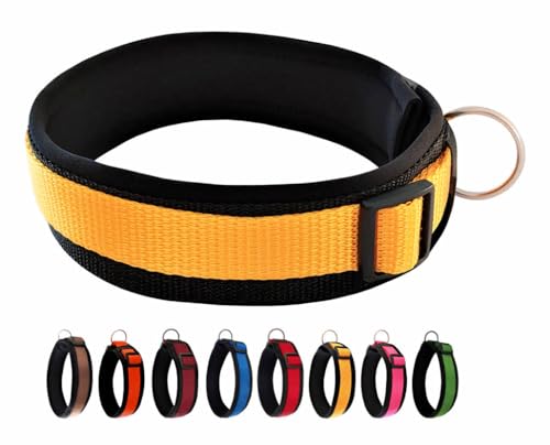 BUDDYPACK | Bequemes Hundehalsband | Extra-Breit mit Neopren-Polster | Für Kleine, Mittlere und Große Hunde | Größe XXS-3XL (XXS (29-34 cm), Gelb auf Schwarz) von Buddypack