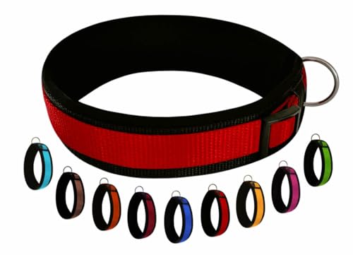 BUDDYPACK | Bequemes Hundehalsband | Extra-Breit mit Neopren-Polster | Für Kleine, Mittlere und Große Hunde | Größe XXS-3XL (XXS (29-34 cm), Rot auf Schwarz) von Buddypack