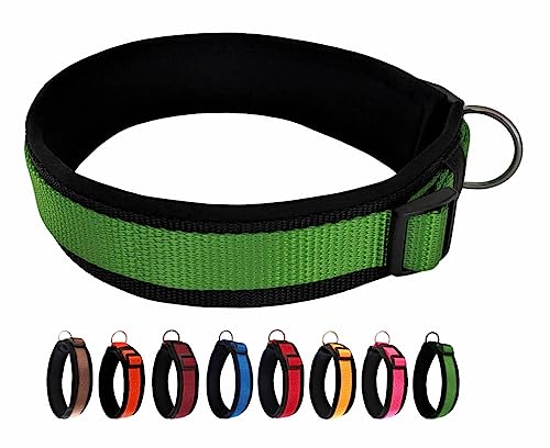 BUDDYPACK | Bequemes Hundehalsband | Extra-Breit mit Neopren-Polster | Für Minis bis Riesen | Größe XXS-3XL (M/L (47-52 cm), Grün auf Schwarz) von Buddypack