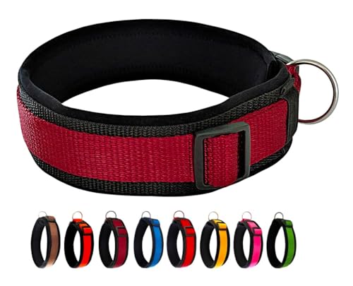 BUDDYPACK | Bequemes Hundehalsband | Extra-Breit mit Neopren-Polster | Für Minis bis Riesen | Größe XXS-3XL (S/M (41-46 cm), Weinrot auf Schwarz) von Buddypack