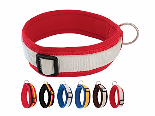 BUDDYPACK | Exklusives Hundehalsband Extra-Breit und Weich mit Neopren-Polster | Größe XXS-3XL | Verstellbar (L (50-55 cm), Rot-Weiß) von Buddypack
