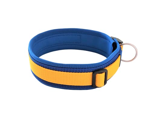 BUDDYPACK | Exklusives Hundehalsband Extra-Breit und Weich mit Neopren-Polster | Größe XXS-3XL | Verstellbar (S (38-43 cm), Blau-Gelb) von Buddypack