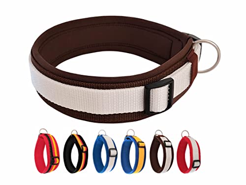 BUDDYPACK | Exklusives Hundehalsband Extra-Breit und Weich mit Neopren-Polster | Größe XXS-3XL | Verstellbar (XXS (29-34 cm), Braun-Weiß) von Buddypack