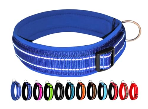BUDDYPACK | Extra-Breites Hundehalsband mit Reflektorstreifen | Weiches Neopren-Polster | Größe XXS-3XL Verstellbar (L (50-55 cm), Blau auf Blau) von Buddypack