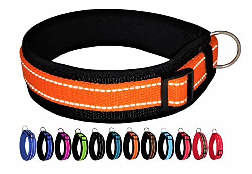 BUDDYPACK | Extra-Breites Hundehalsband mit Reflektorstreifen | Weiches Neopren-Polster | Größe XXS-3XL Verstellbar (L (50-55 cm), Orange auf Schwarz) von Buddypack