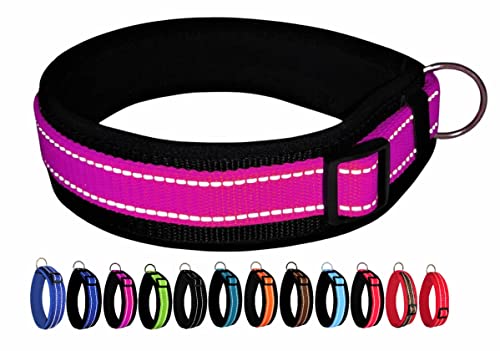 BUDDYPACK | Extra-Breites Hundehalsband mit Reflektorstreifen | Weiches Neopren-Polster | Größe XXS-3XL Verstellbar (L (50-55 cm), Pink-Schwarz) von Buddypack